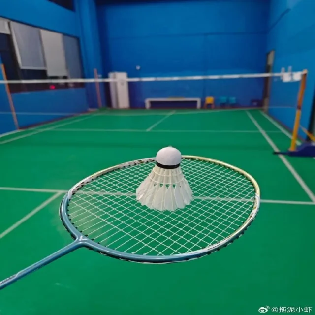 恢复训练